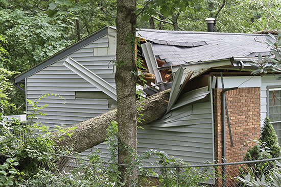 What kind of damage can your roof get from a Pacific Northwest storm?